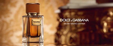 dolce gabbana velvet collection|dolce gabbana velvet exotic leather.